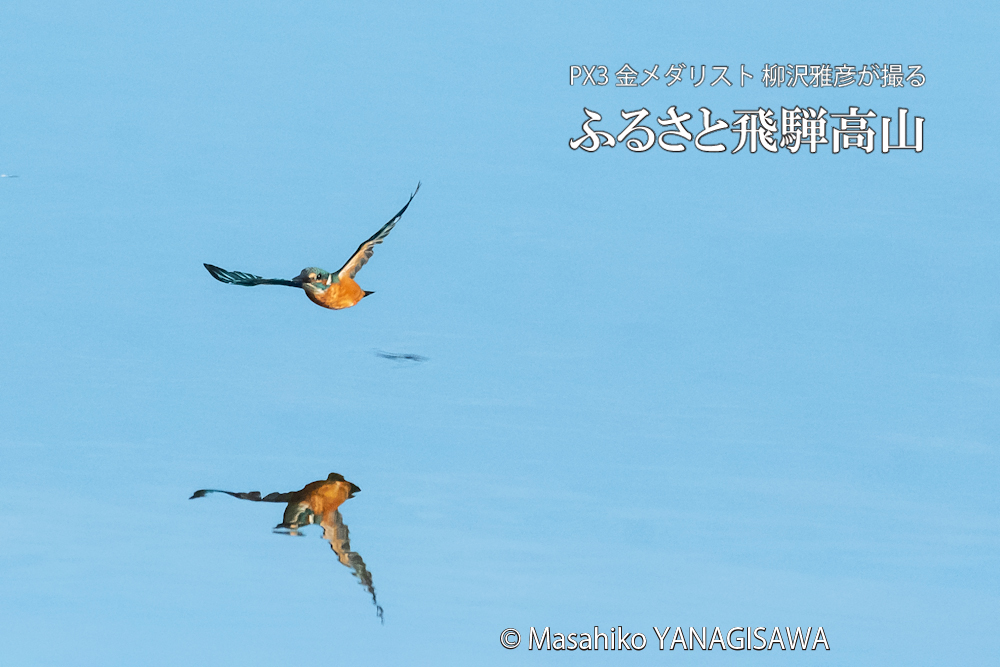 　撮影・柳沢雅彦