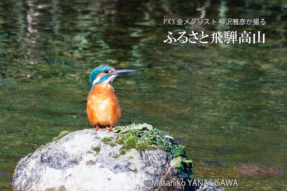 　撮影・柳沢雅彦