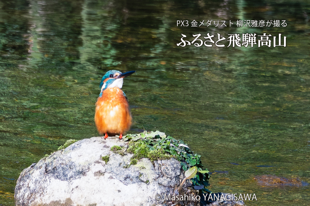 　撮影・柳沢雅彦