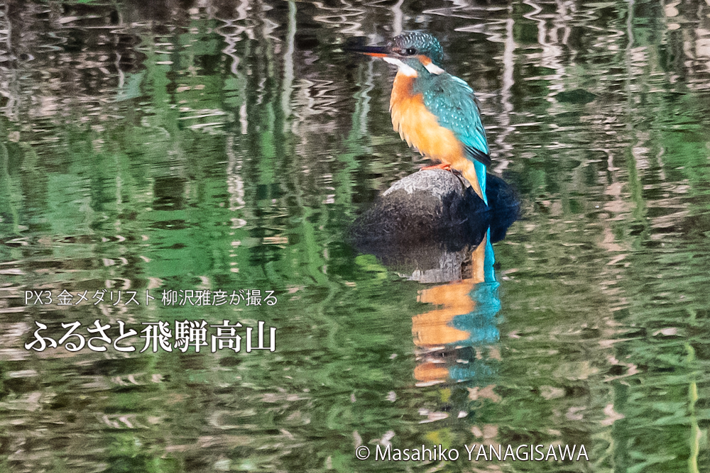 　撮影・柳沢雅彦