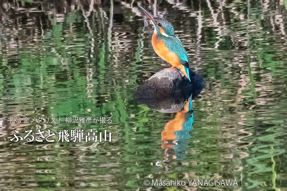 　撮影・柳沢雅彦