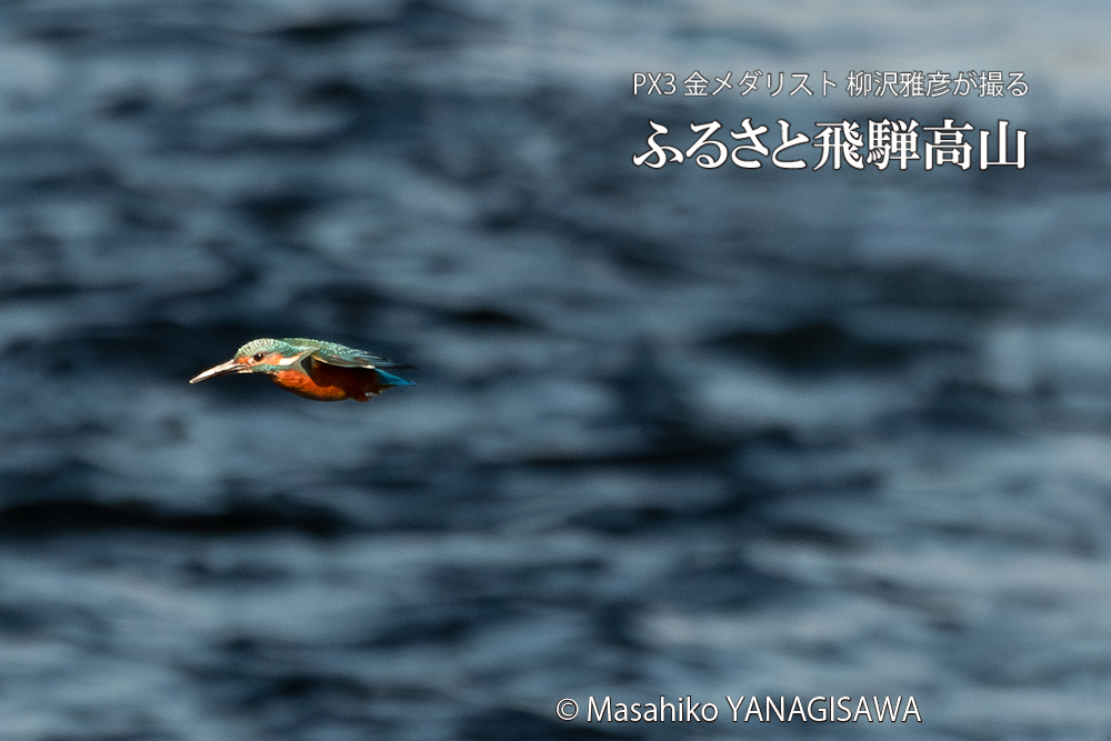 　撮影・柳沢雅彦