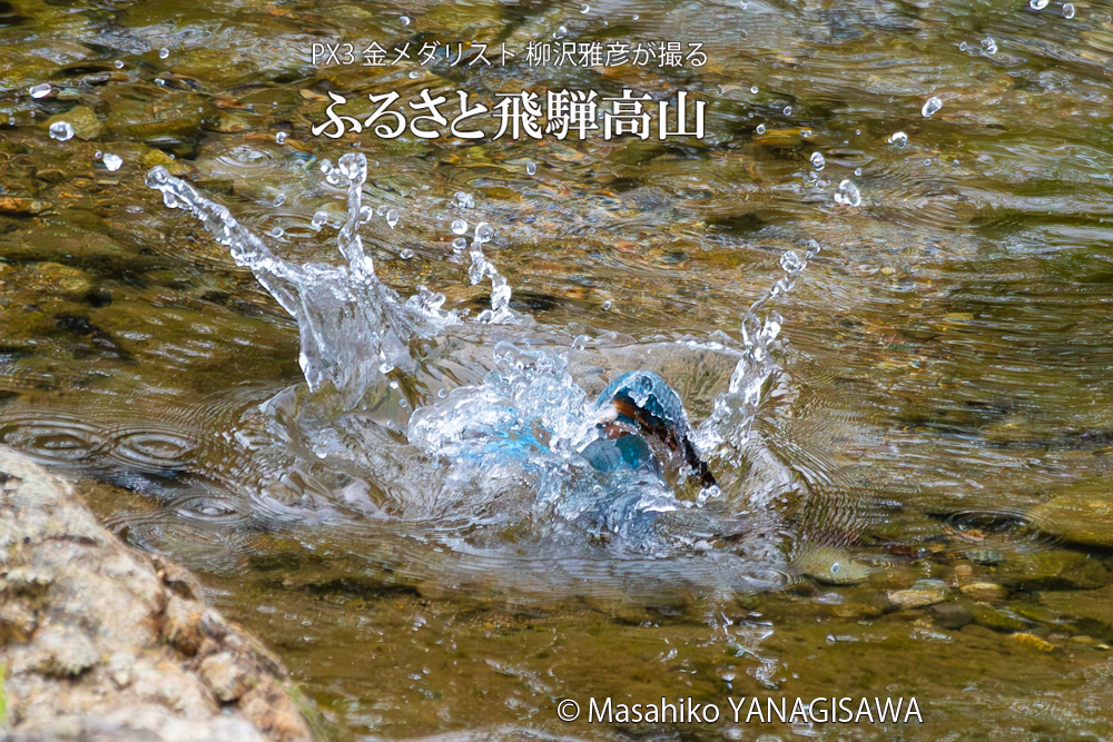 　撮影・柳沢雅彦