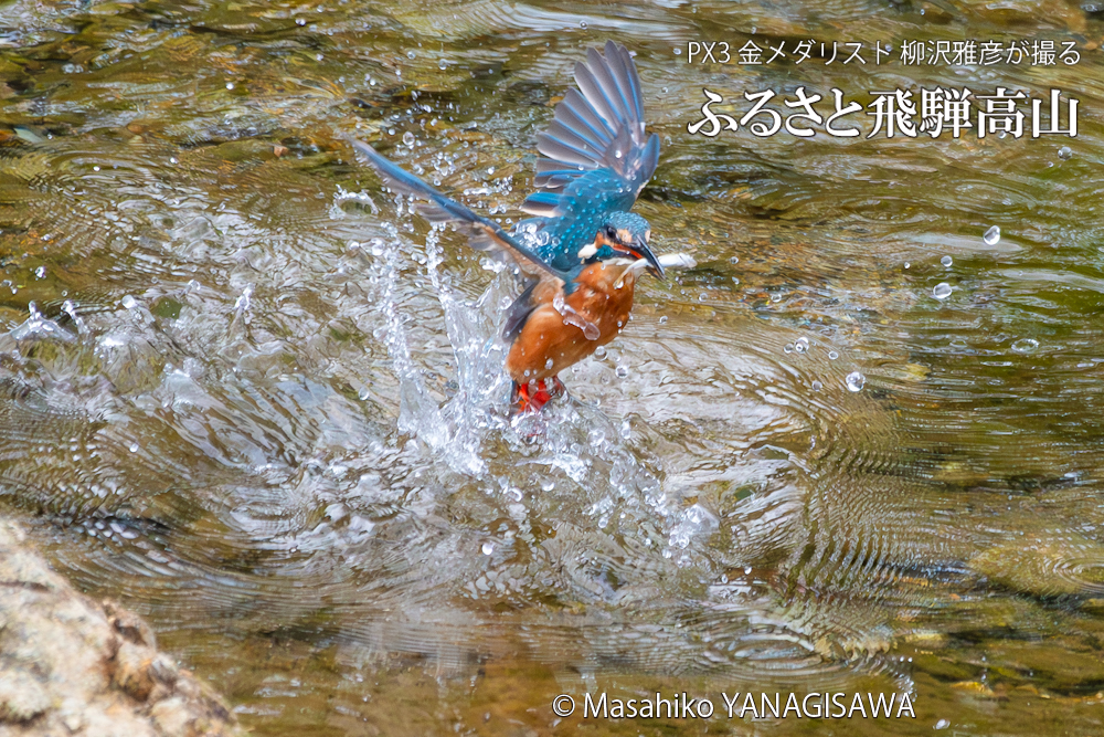 　撮影・柳沢雅彦