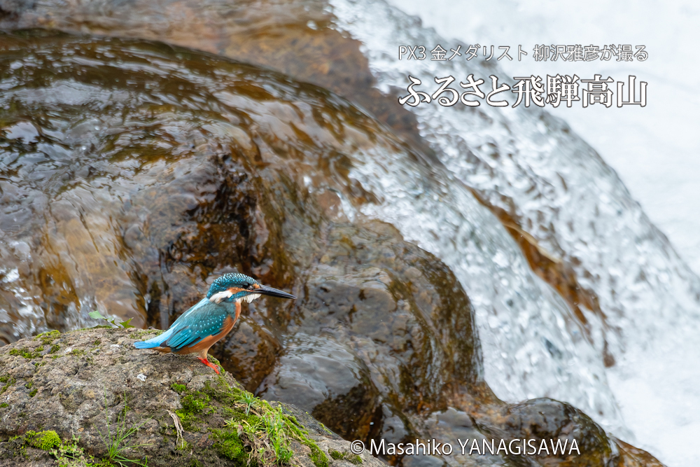 　撮影・柳沢雅彦