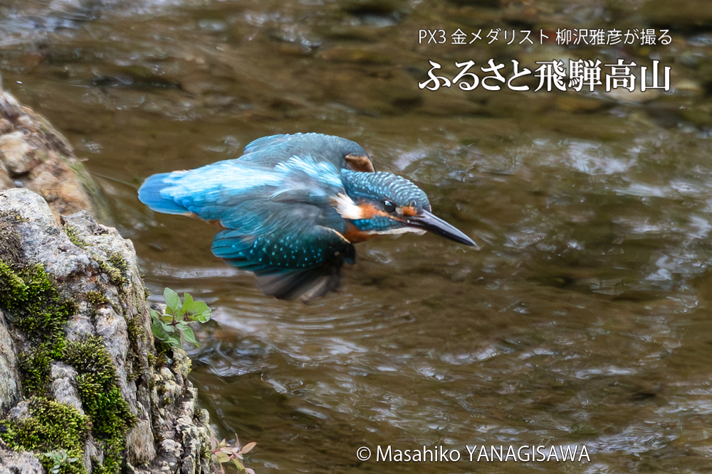 　撮影・柳沢雅彦