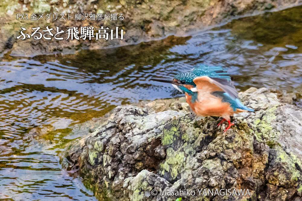 　撮影・柳沢雅彦