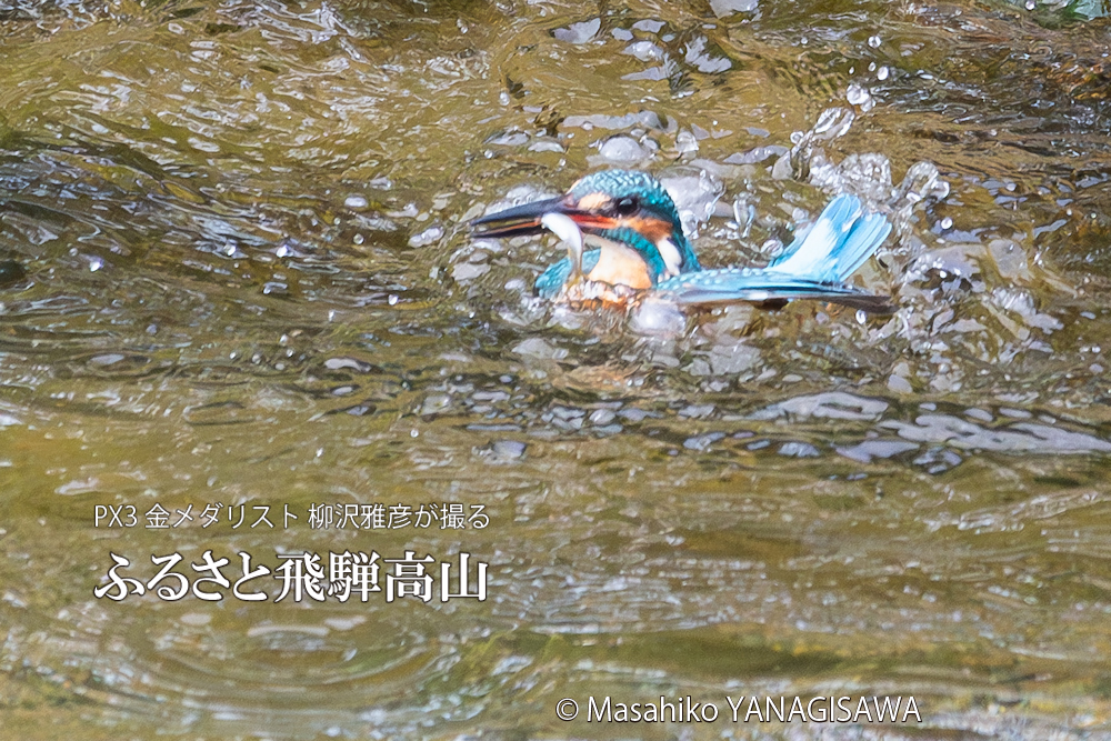 　撮影・柳沢雅彦