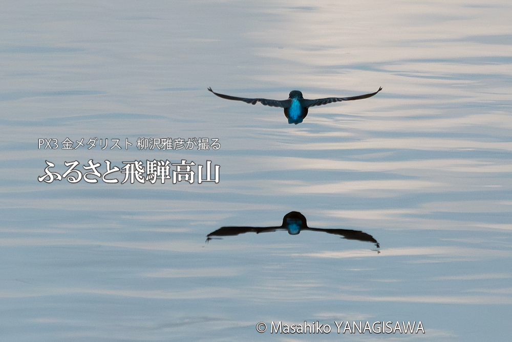 　撮影・柳沢雅彦