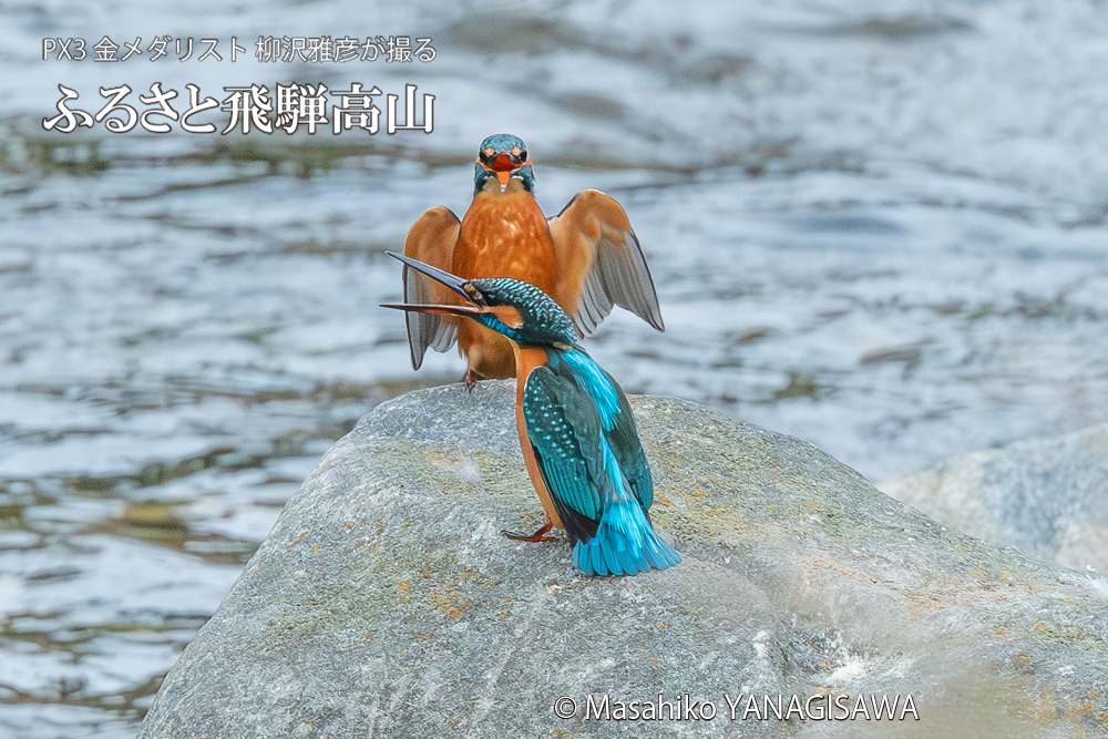 　撮影・柳沢雅彦