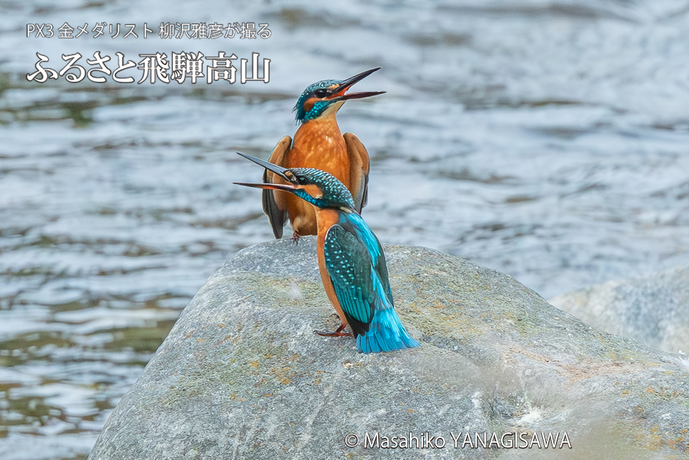 　撮影・柳沢雅彦