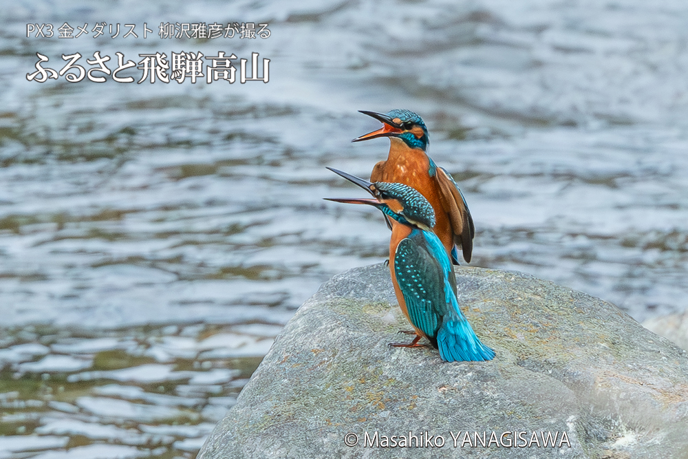 　撮影・柳沢雅彦