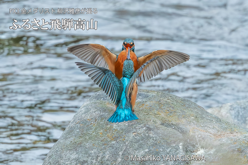 　撮影・柳沢雅彦