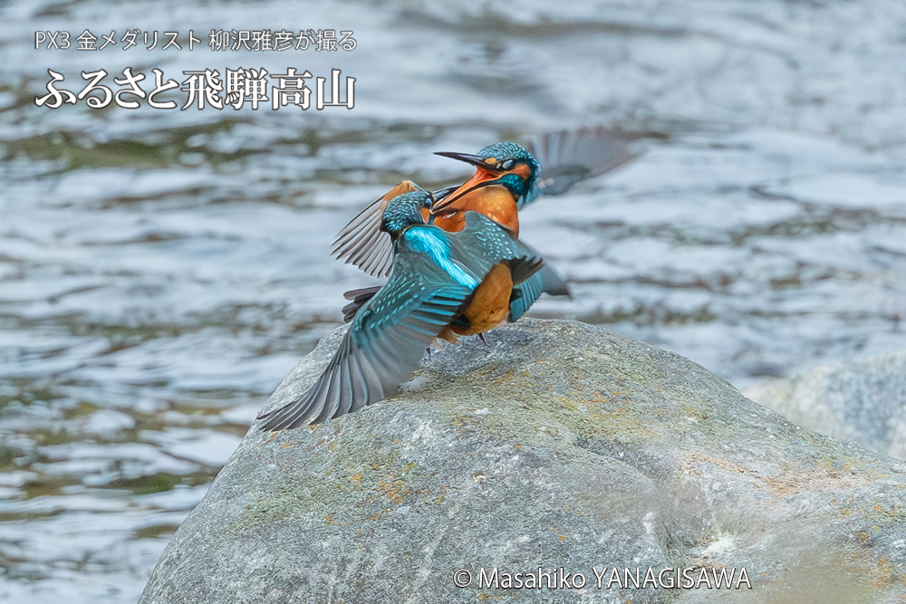 　撮影・柳沢雅彦