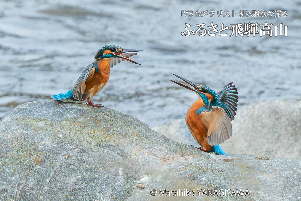 　撮影・柳沢雅彦