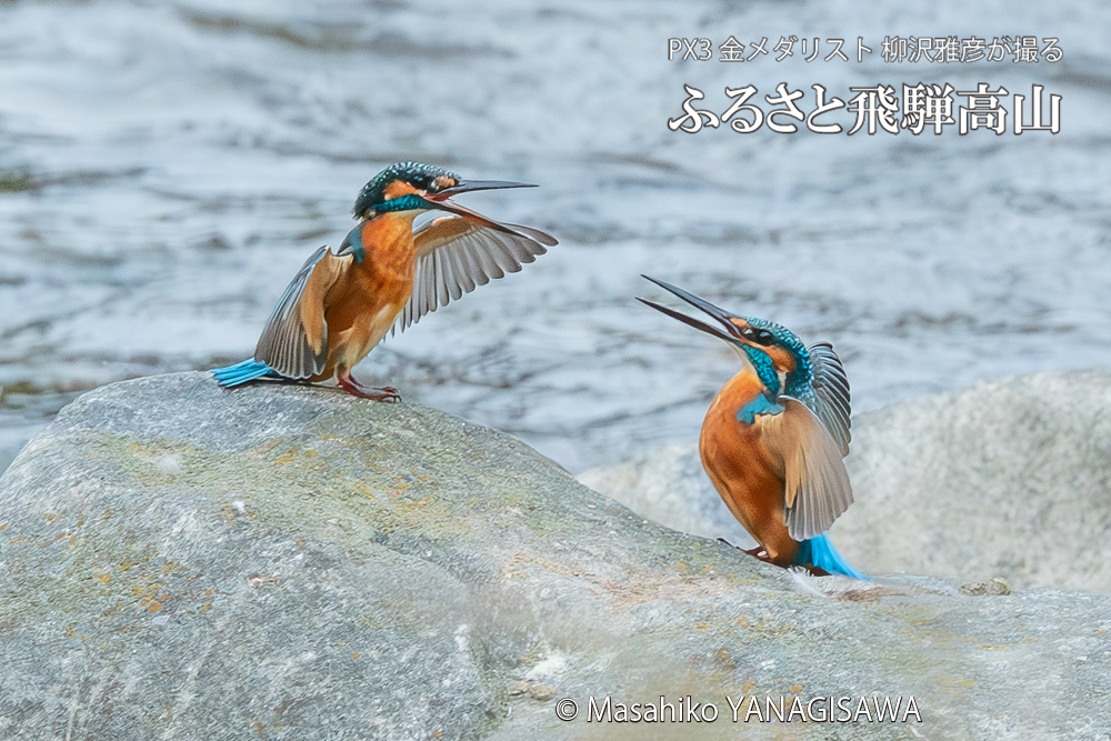 　撮影・柳沢雅彦