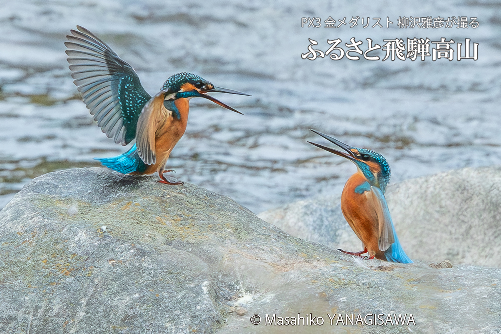 　撮影・柳沢雅彦