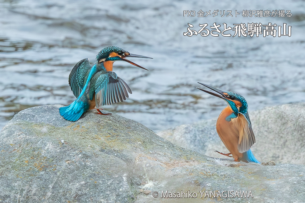 　撮影・柳沢雅彦