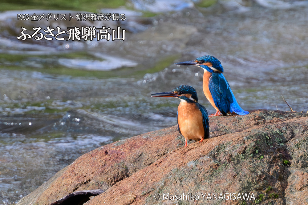 　撮影・柳沢雅彦