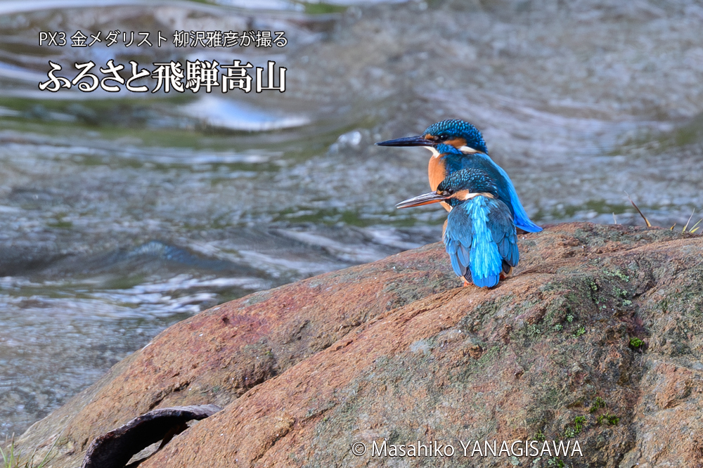 　撮影・柳沢雅彦