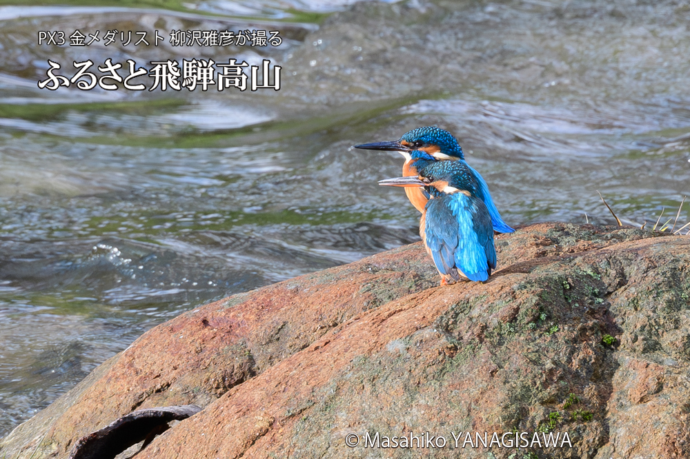 　撮影・柳沢雅彦