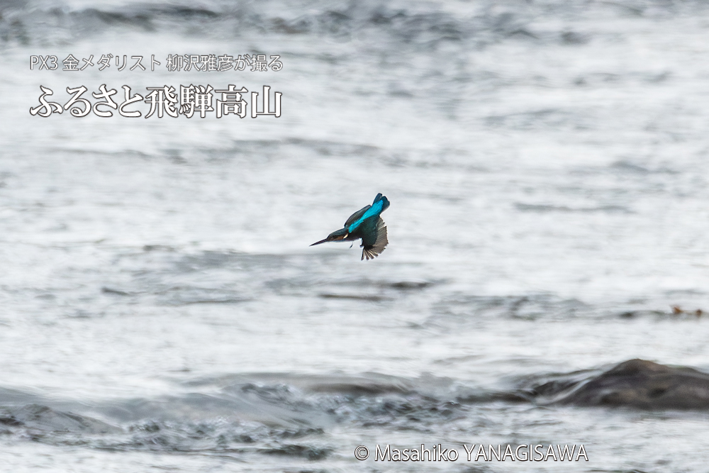 　撮影・柳沢雅彦