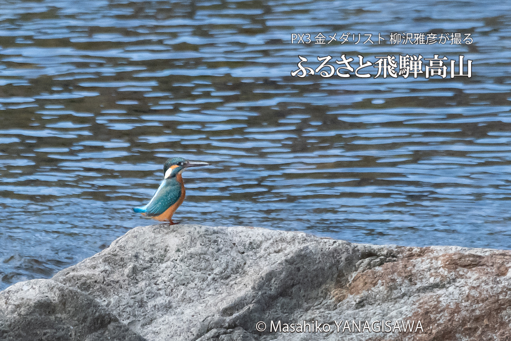 　撮影・柳沢雅彦