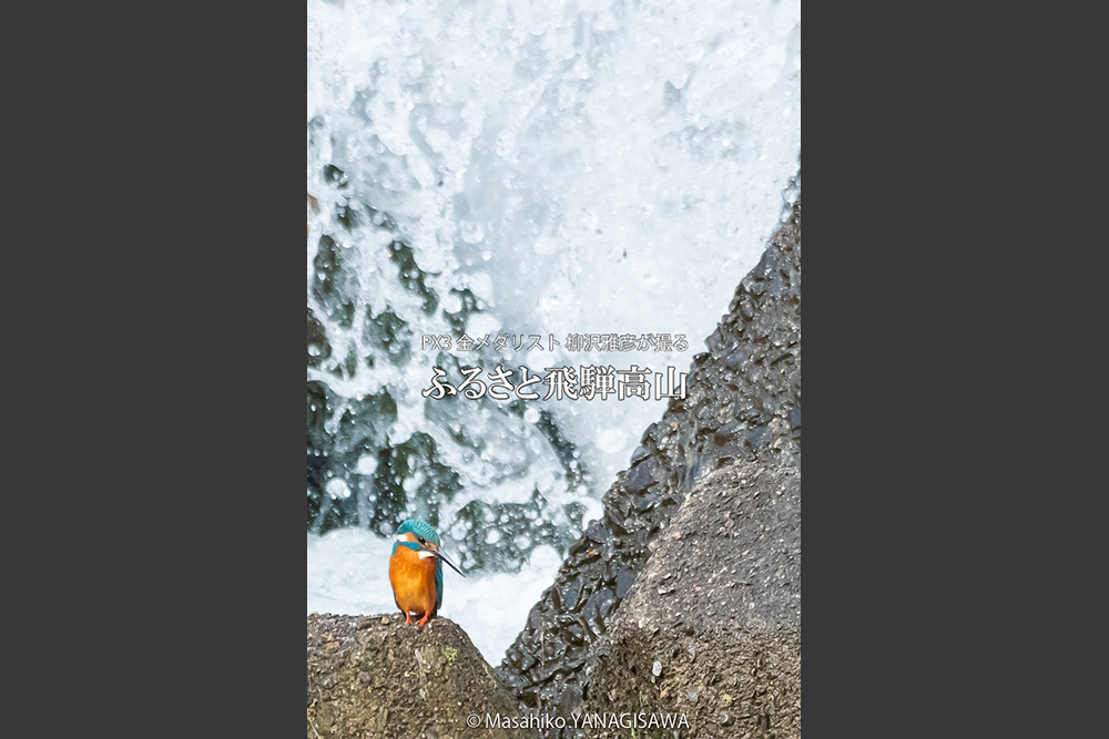 　撮影・柳沢雅彦