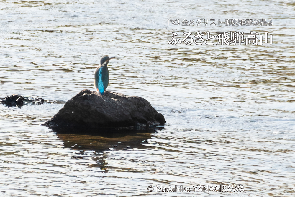 　撮影・柳沢雅彦