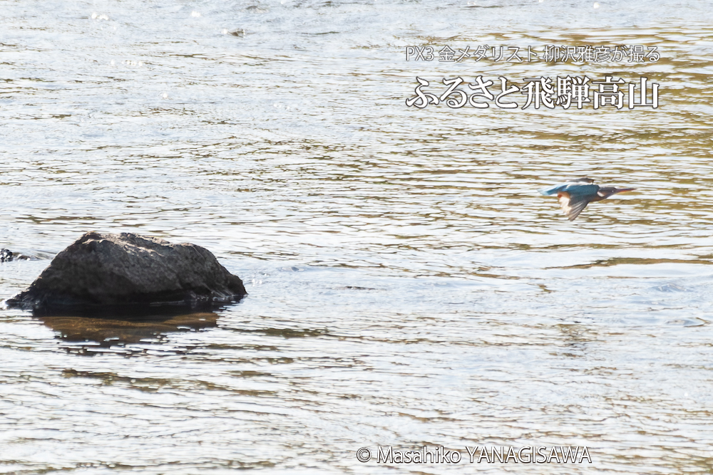 　撮影・柳沢雅彦