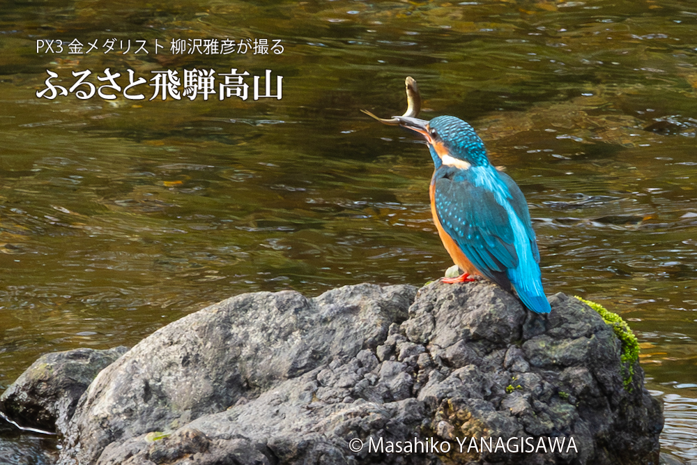 　撮影・柳沢雅彦