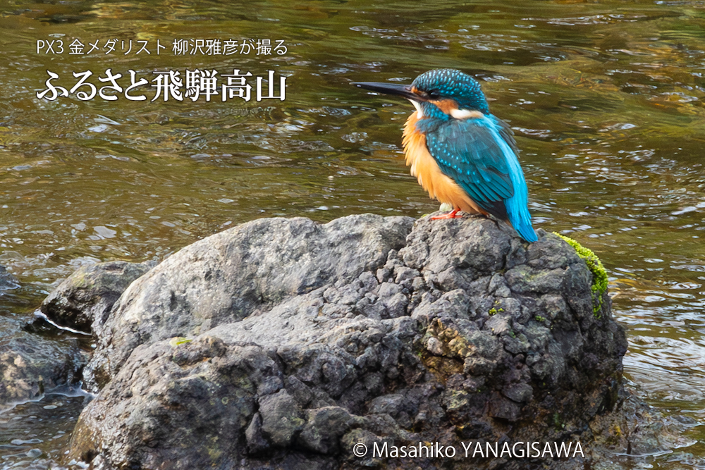 　撮影・柳沢雅彦