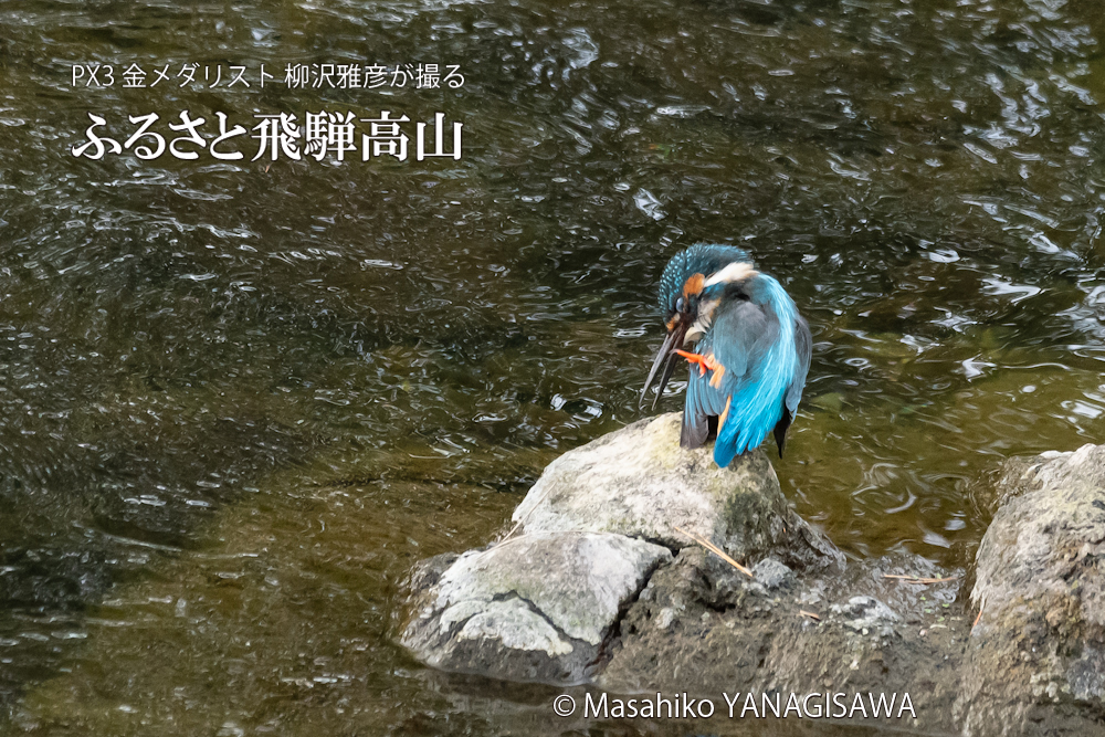 　撮影・柳沢雅彦