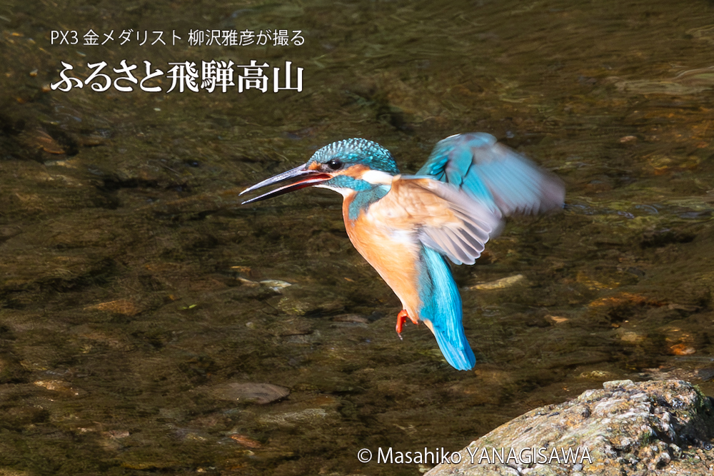 　撮影・柳沢雅彦