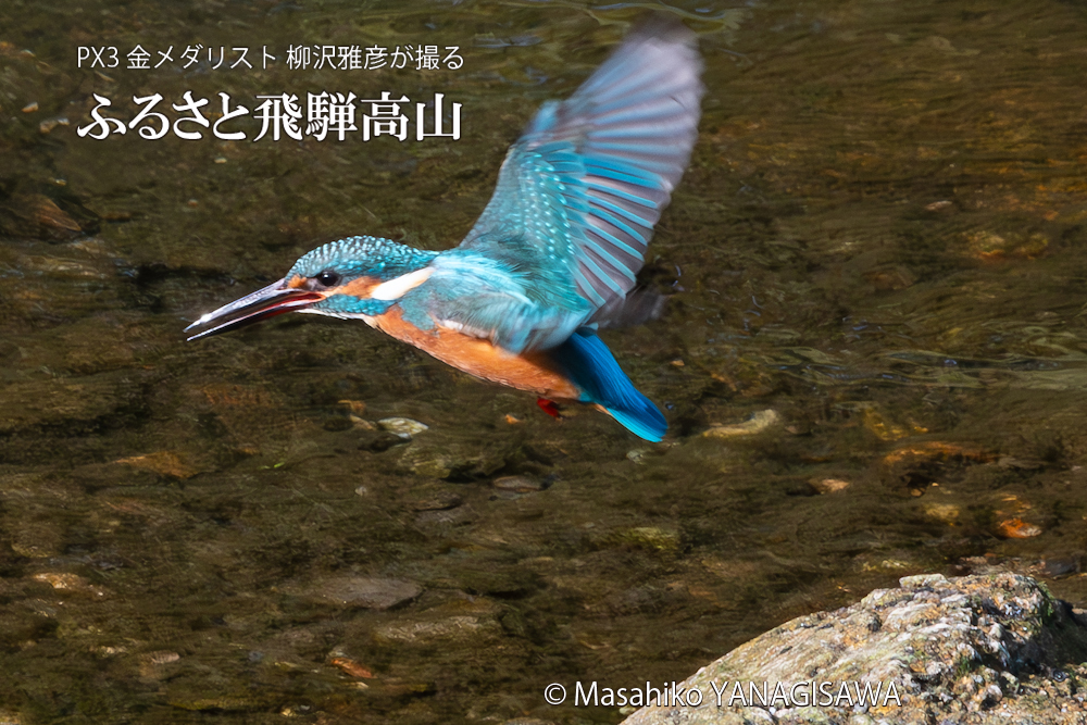 　撮影・柳沢雅彦