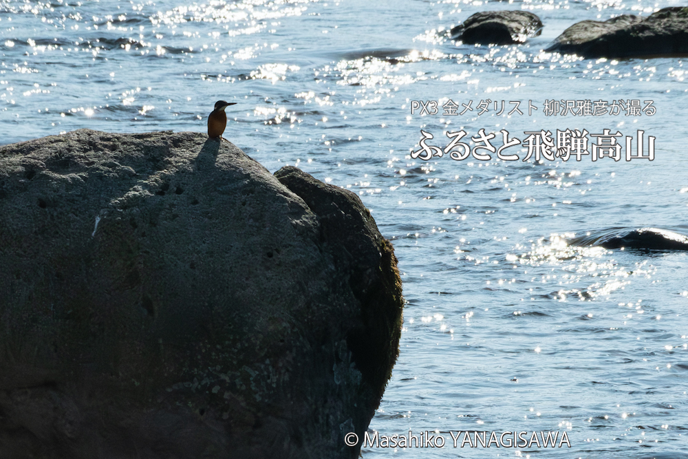 　撮影・柳沢雅彦