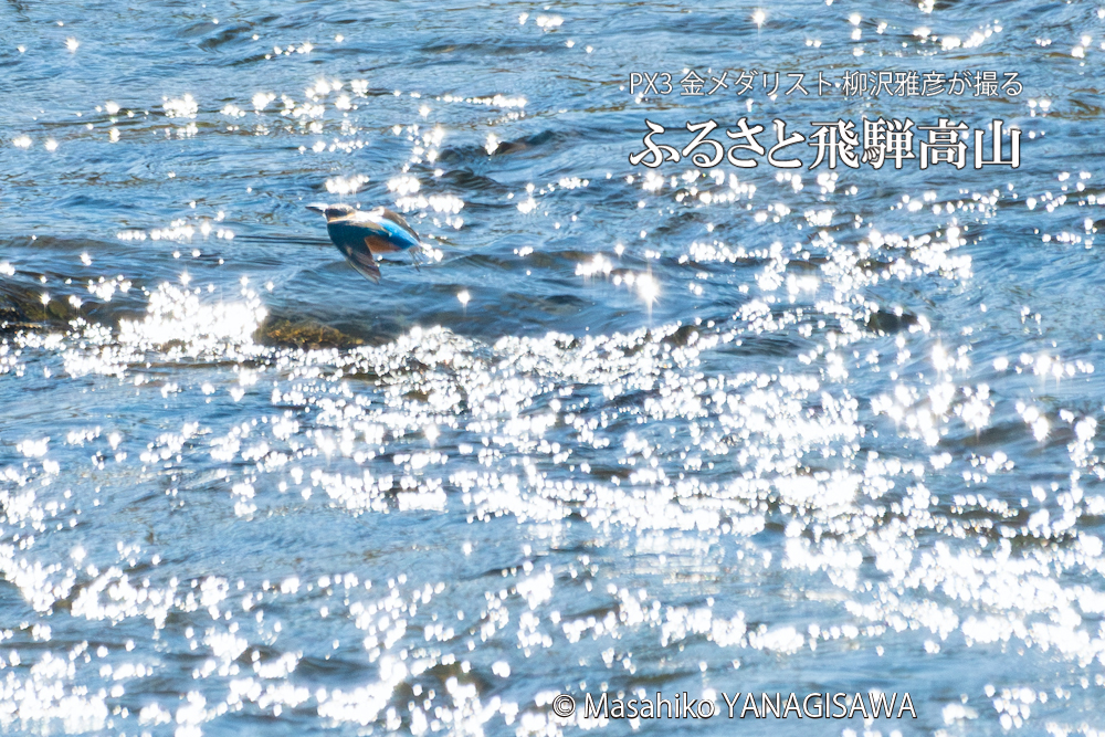 　撮影・柳沢雅彦