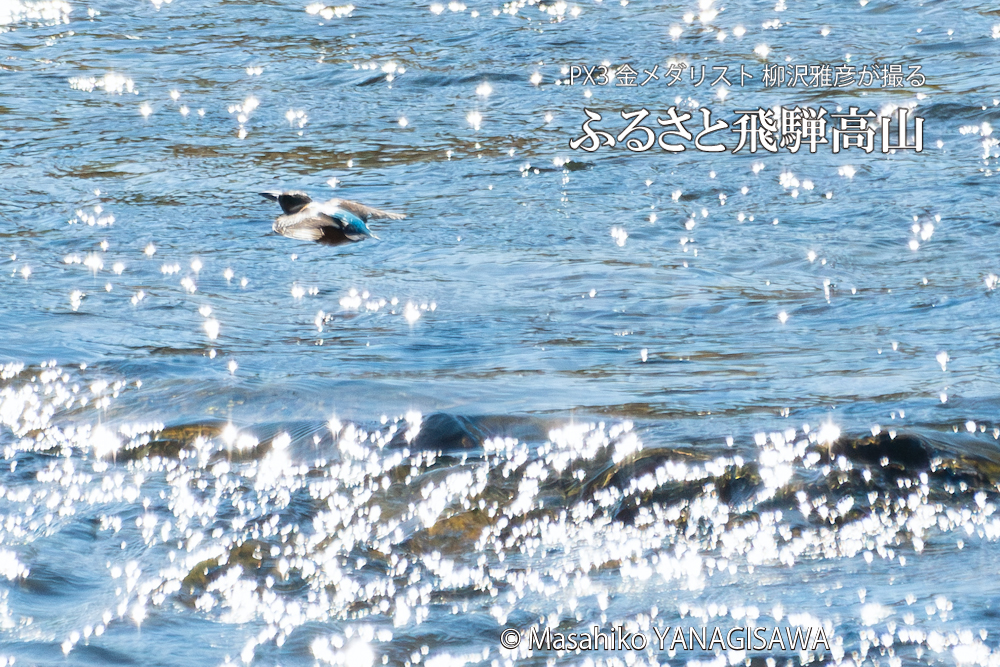 　撮影・柳沢雅彦