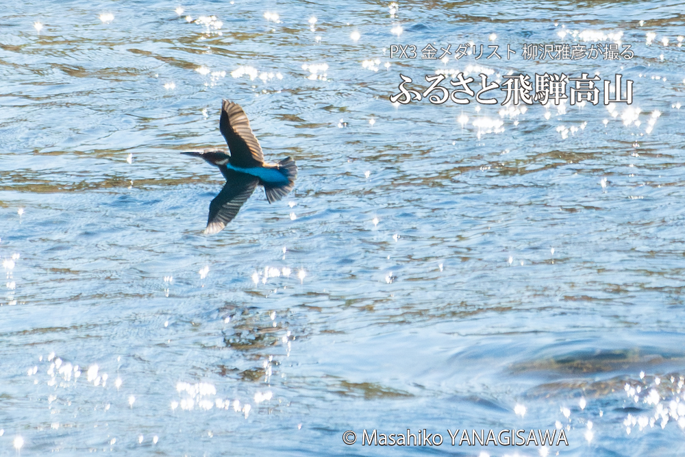 　撮影・柳沢雅彦