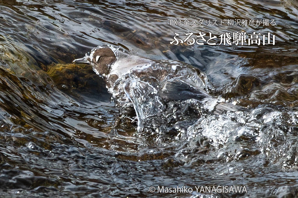 　撮影・柳沢雅彦