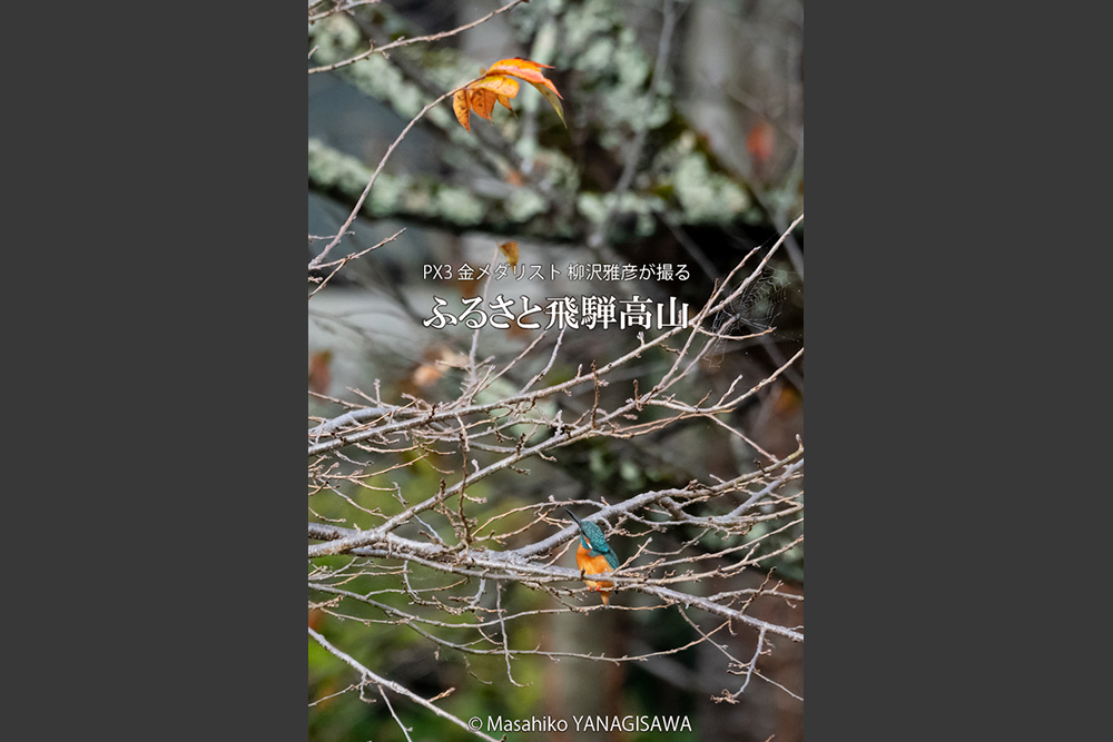 　撮影・柳沢雅彦