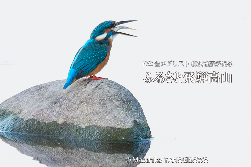 　撮影・柳沢雅彦