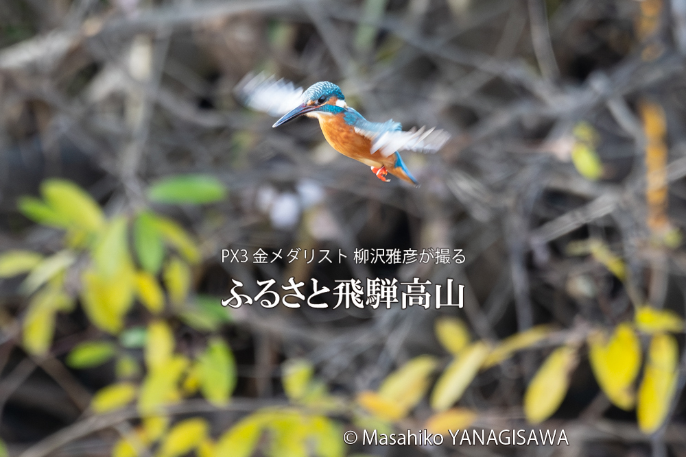 　撮影・柳沢雅彦