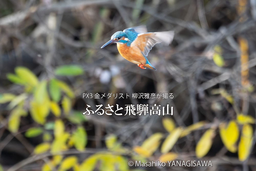 　撮影・柳沢雅彦