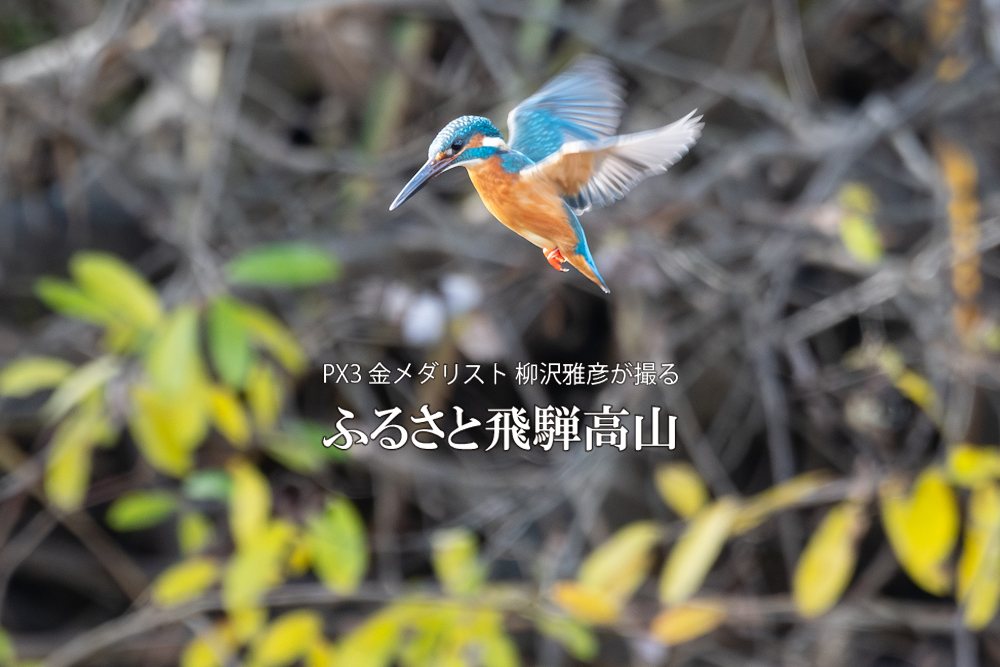 　撮影・柳沢雅彦