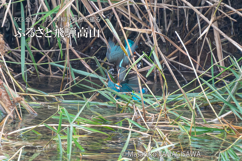 　撮影・柳沢雅彦