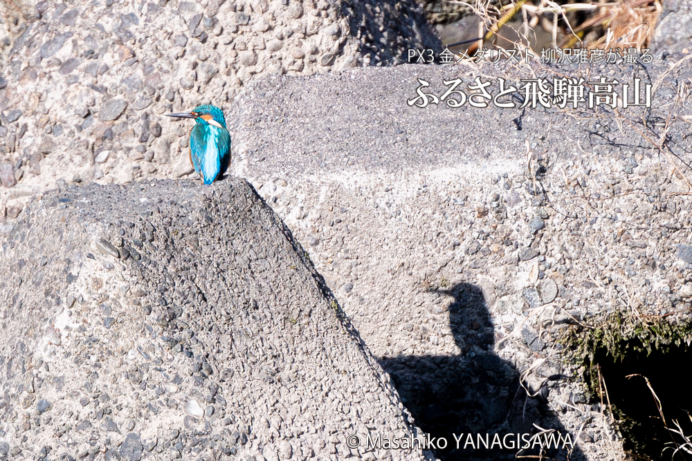 　撮影・柳沢雅彦