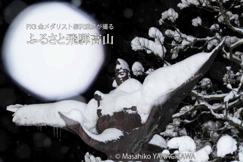 飛騨高山の雪景色(中橋公園の「木鶴大明神」)　撮影・柳沢雅彦