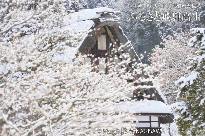 飛騨高山の雪景色(合掌造り)　撮影・柳沢雅彦