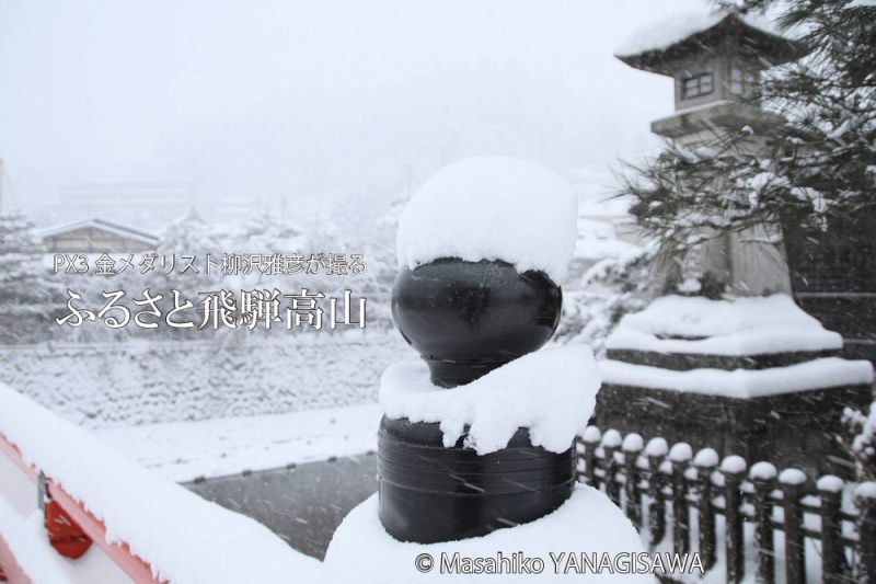 飛騨高山の雪景色(綿帽子をかぶった中橋の擬宝珠)　撮影・柳沢雅彦